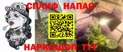 соль ск Ипатово