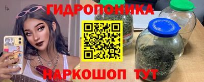 шишки Ирбит