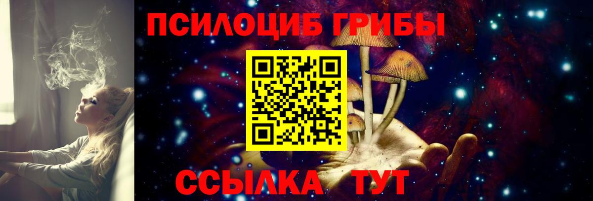Псилоцибиновые грибы Cubensis Лениногорск
